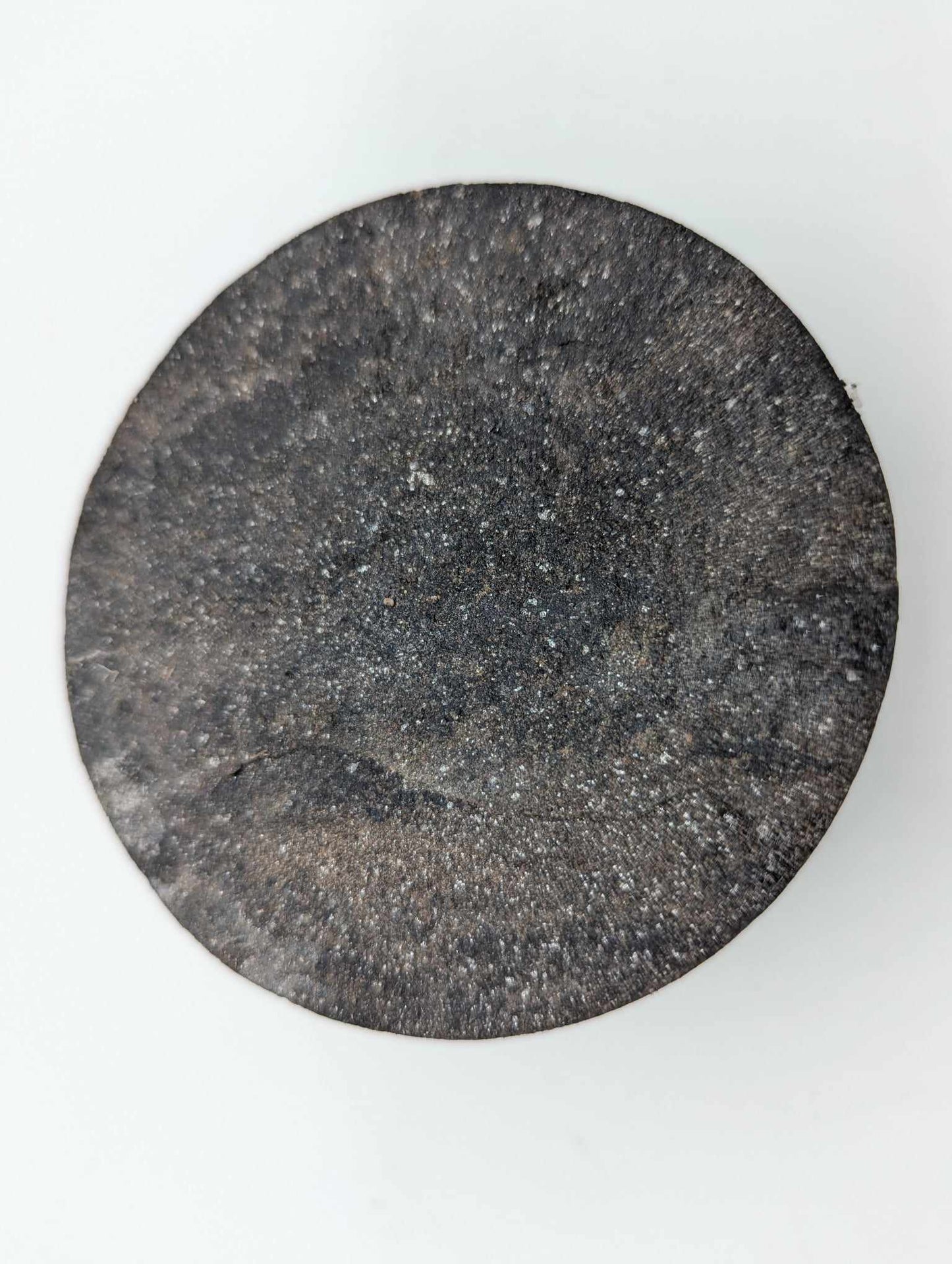 Sedimentary Drill Core (SDC13)