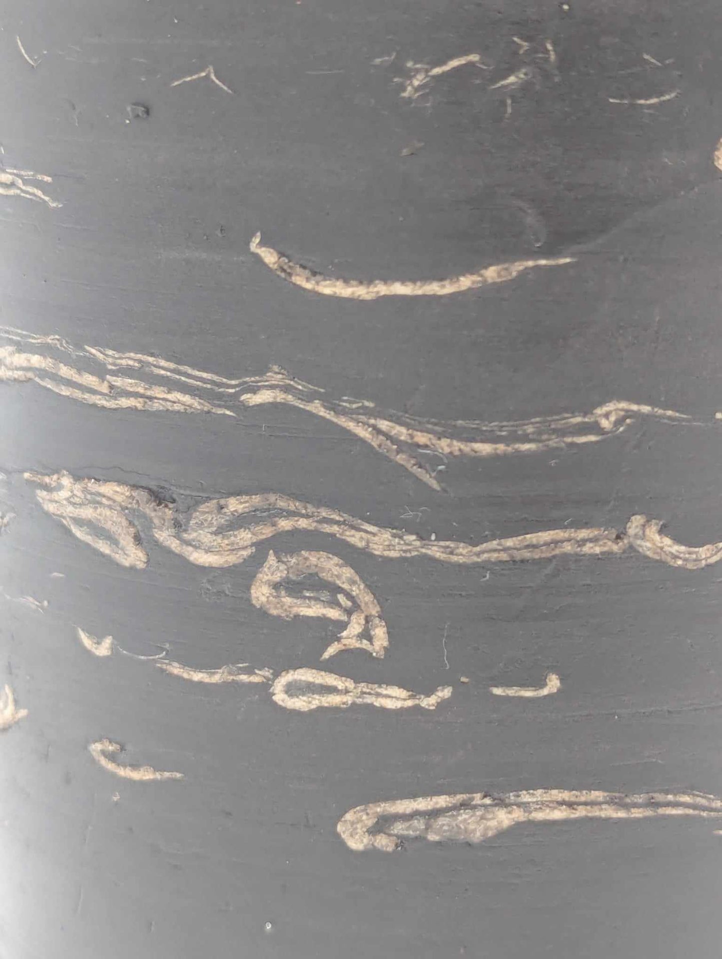 Sedimentary Drill Core (SDC8)