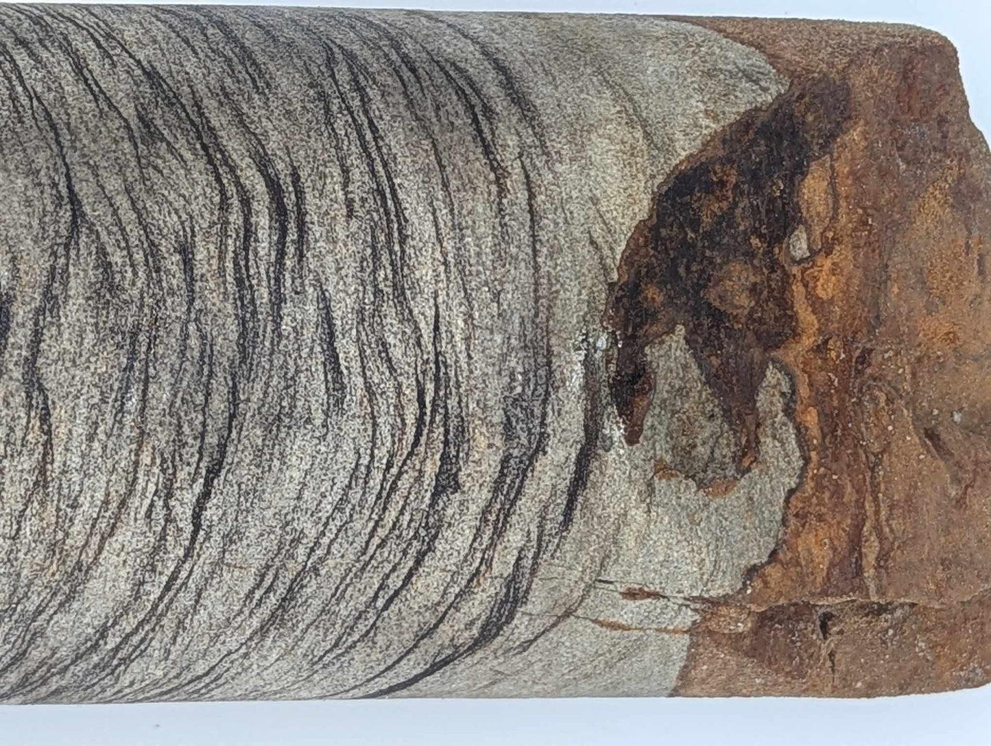 Sedimentary Drill Core (SDC6)