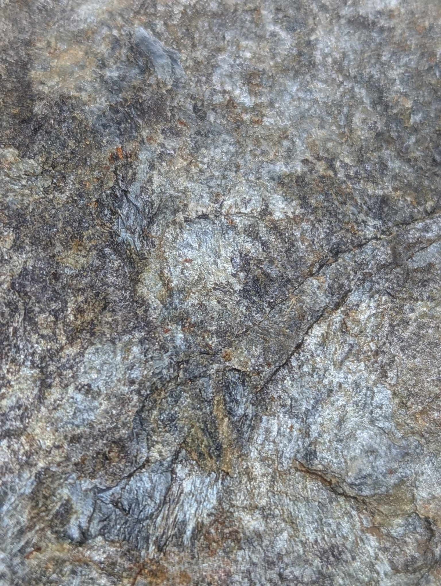 Metamorphic Drill Core (MDC13)