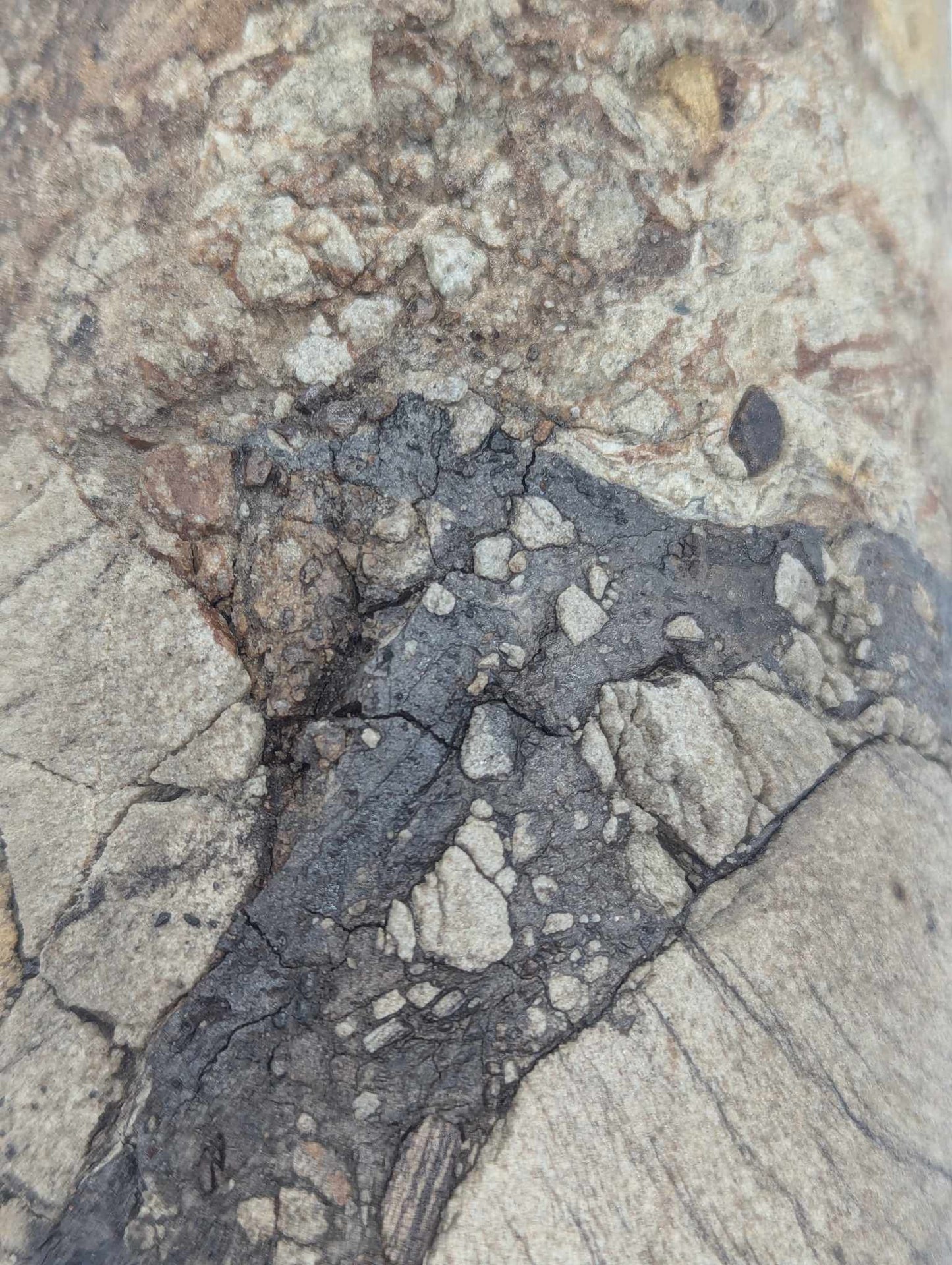 Sedimnetary Drill Core (SDC3)