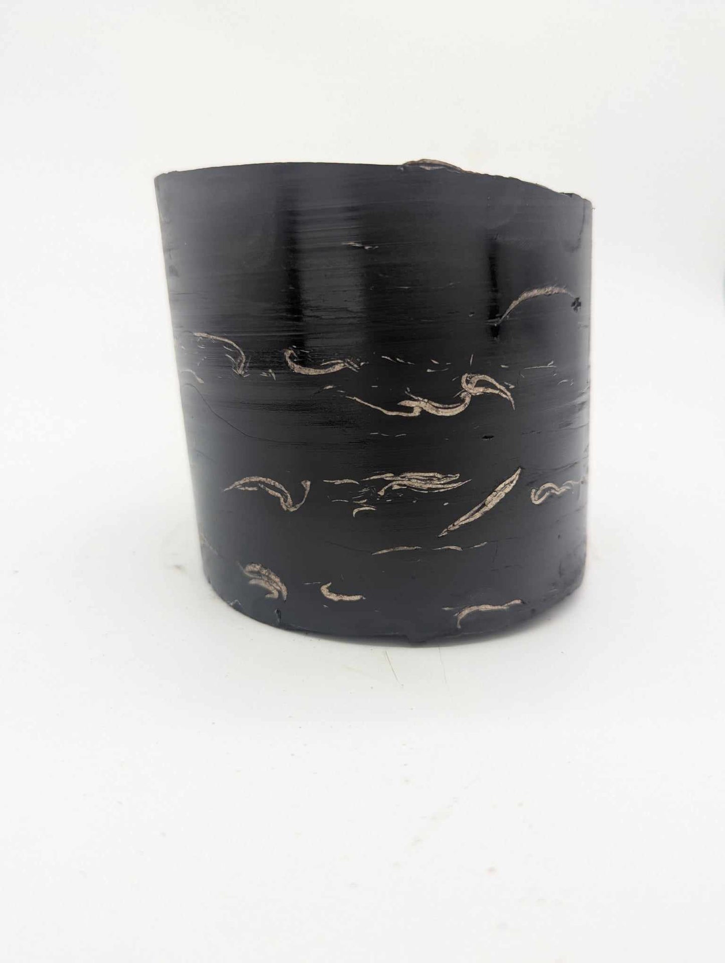 Sedimentary Drill Core (SDC7)