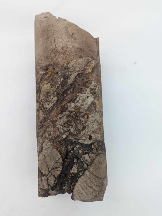 Sedimnetary Drill Core (SDC3)