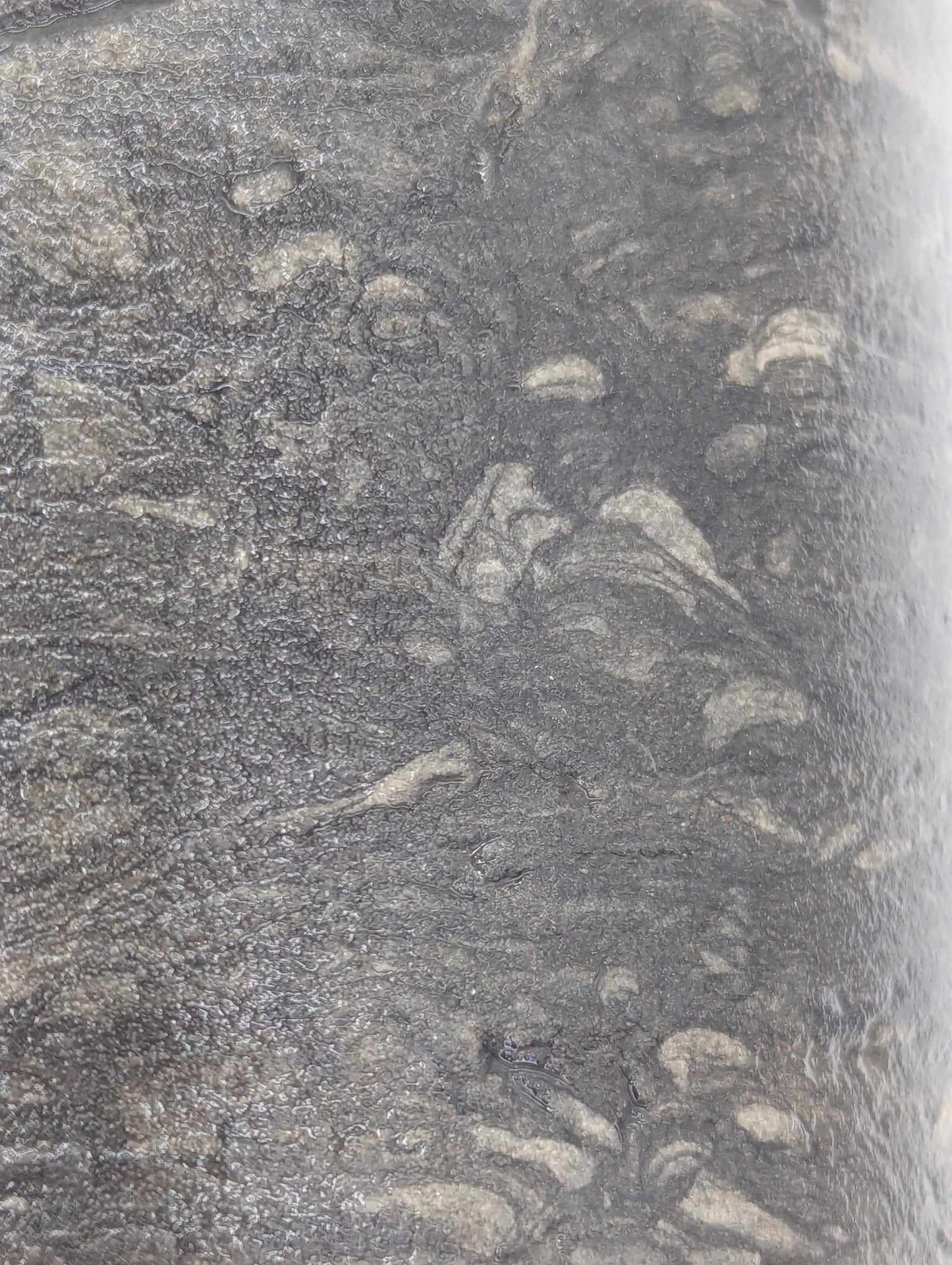 Sedimnetary Drill Core (SDC2)