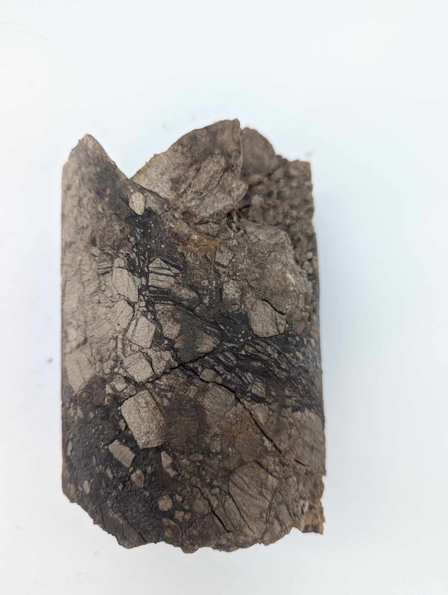 Sedimentary Drill Core (SDC4)