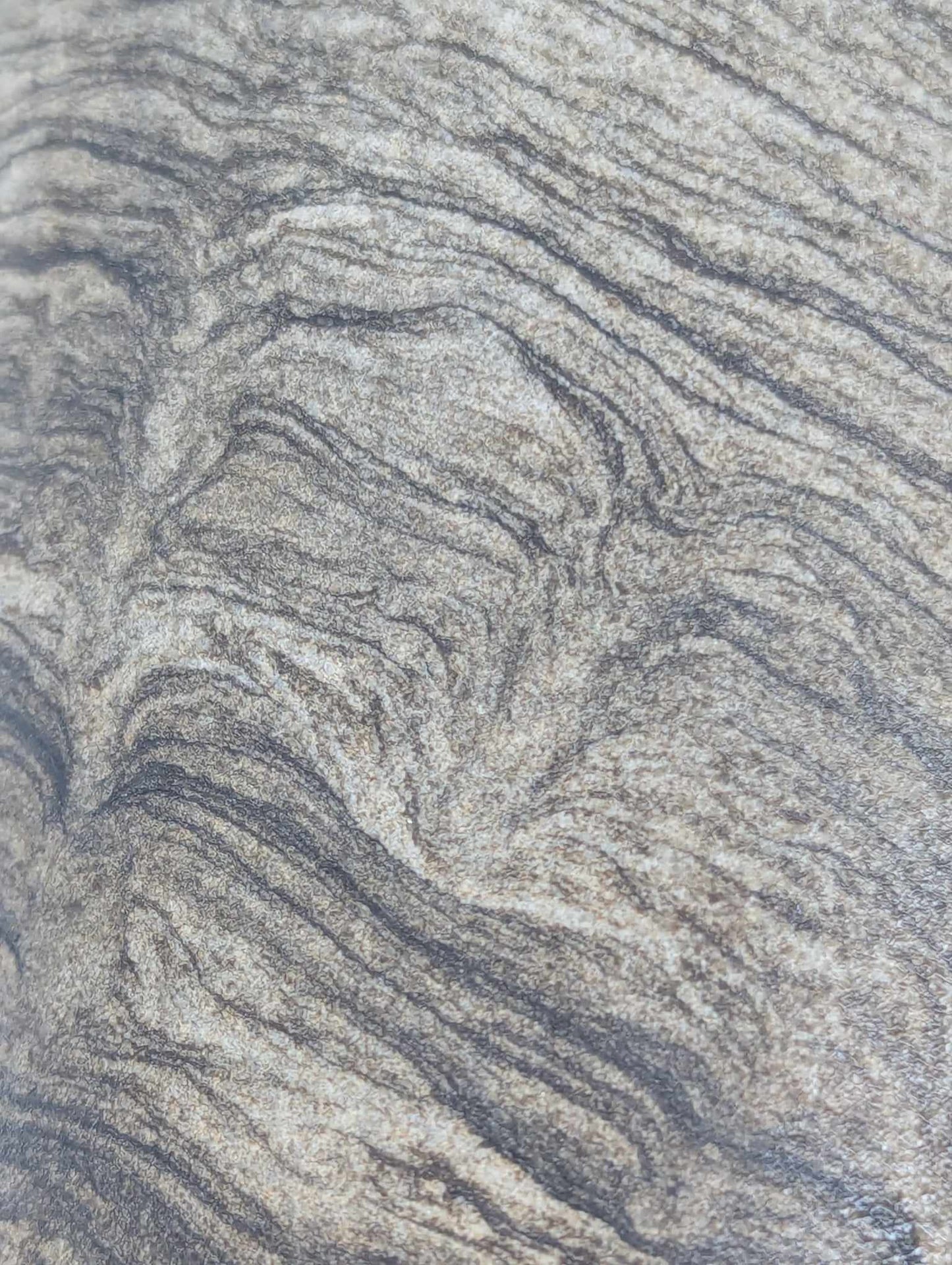 Sedimentary Drill Core (SDC5)