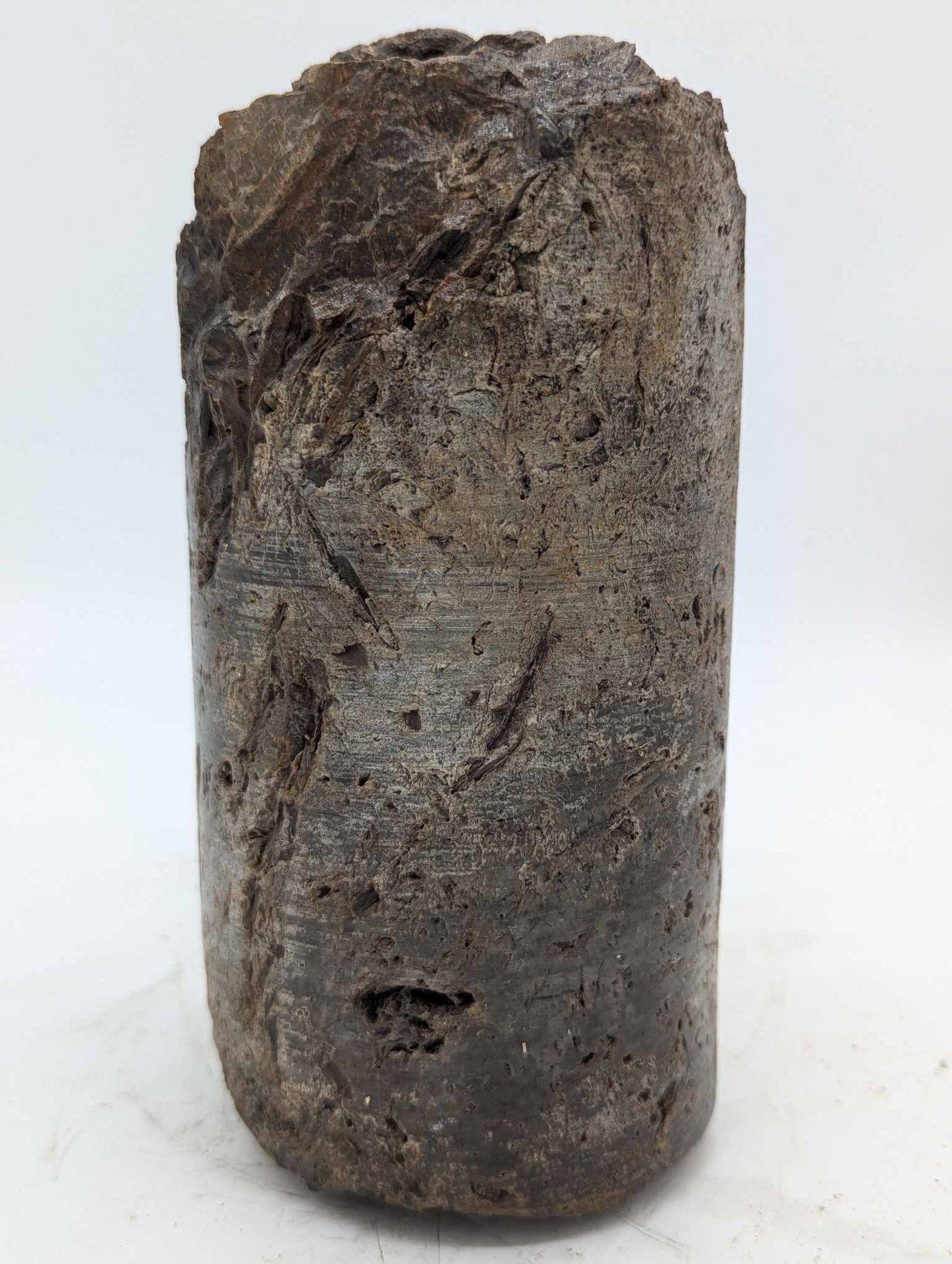 Sedimentary Drill Core (SDC17)