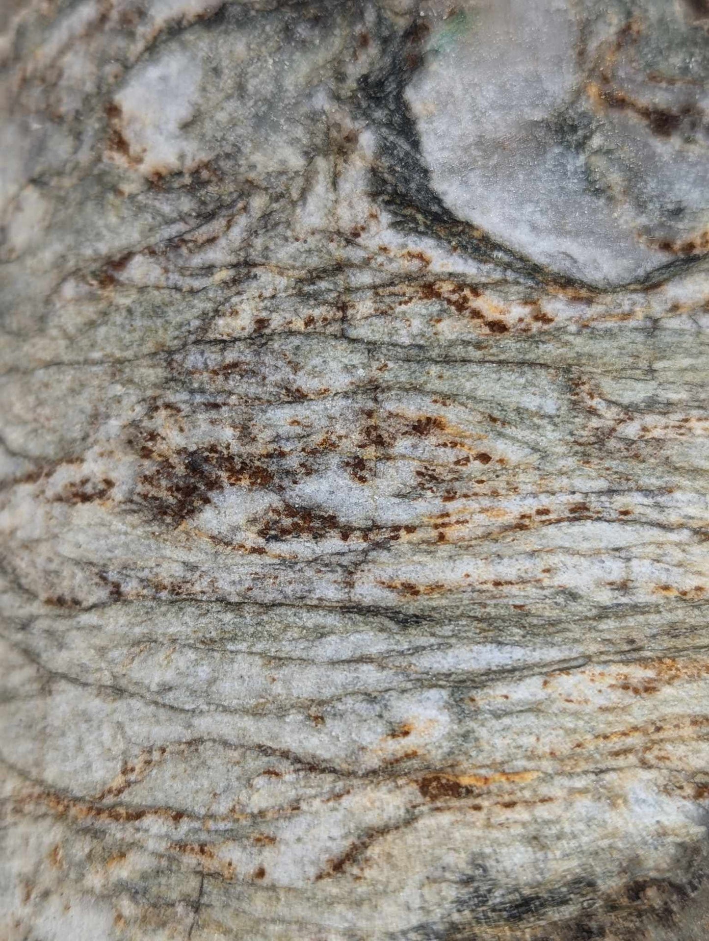 Metamorphic Drill Core (MDC13)