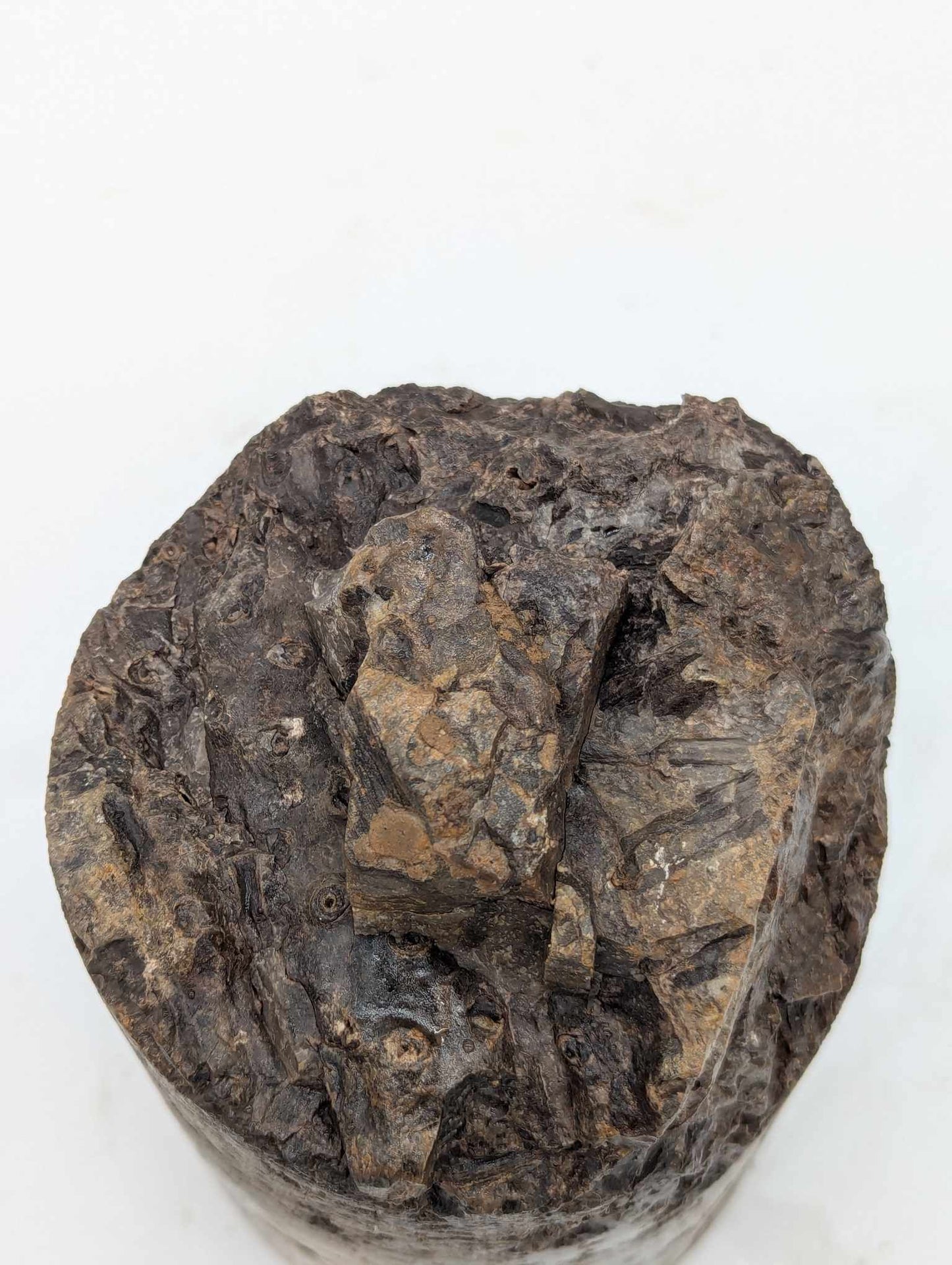 Sedimentary Drill Core (SDC17)