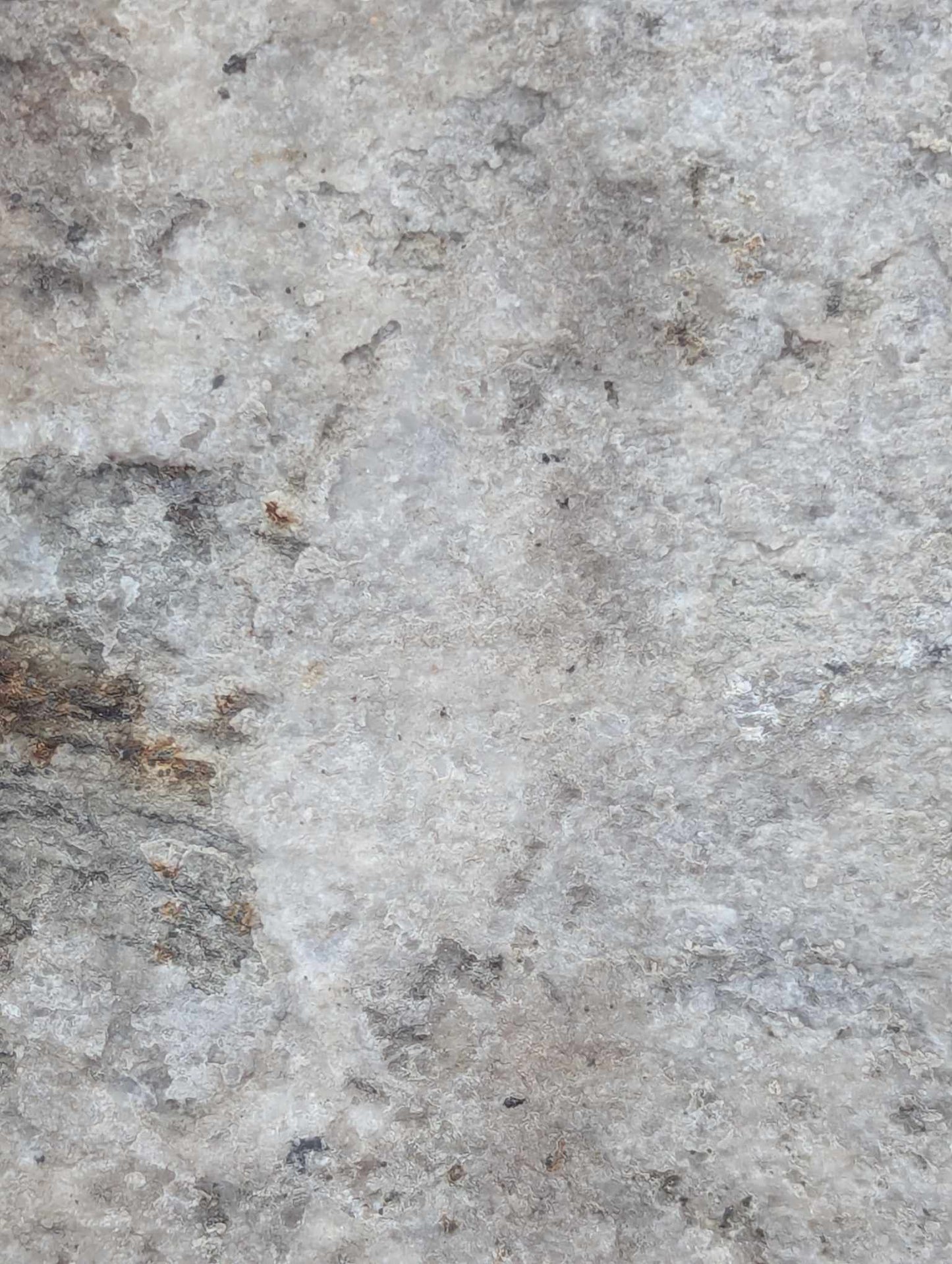 Sedimentary Drill Core (SDC14)