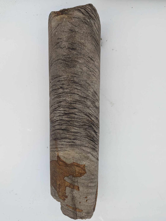 Sedimentary Drill Core (SDC6)