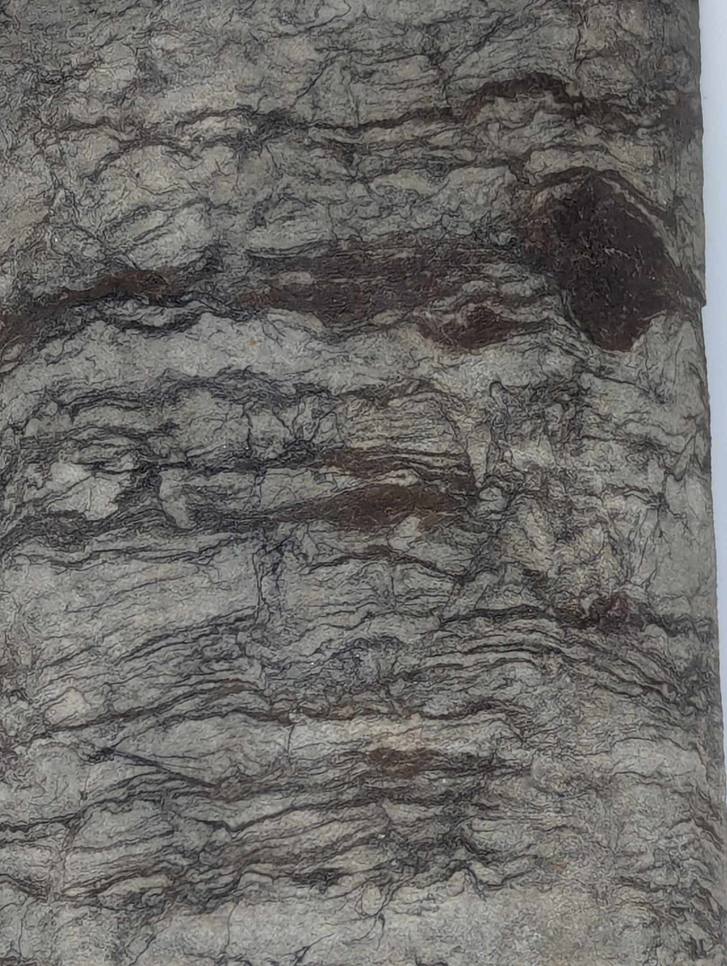 Sedimentary Drill Core (SDC14)