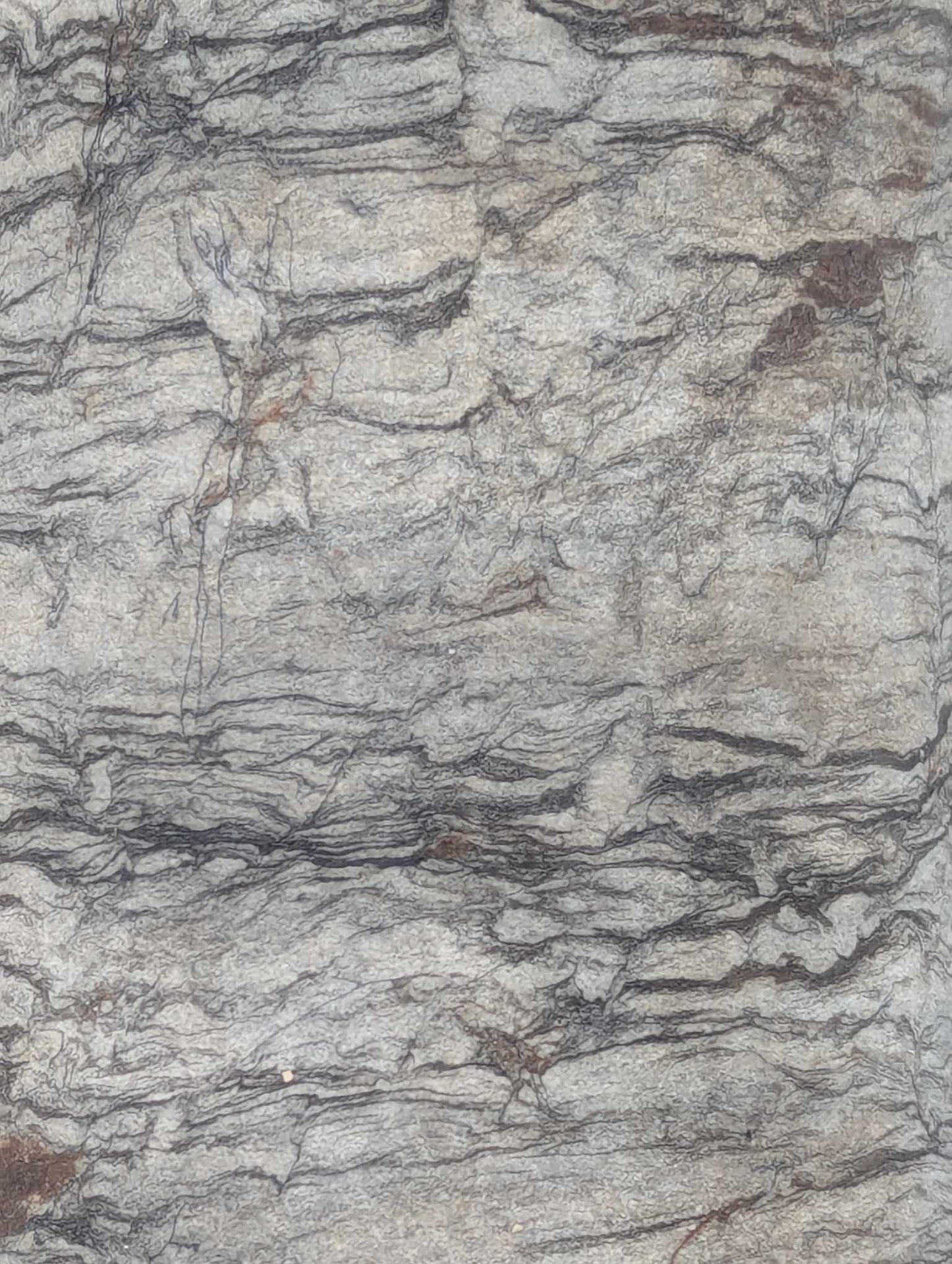 Sedimentary Drill Core (SDC14)