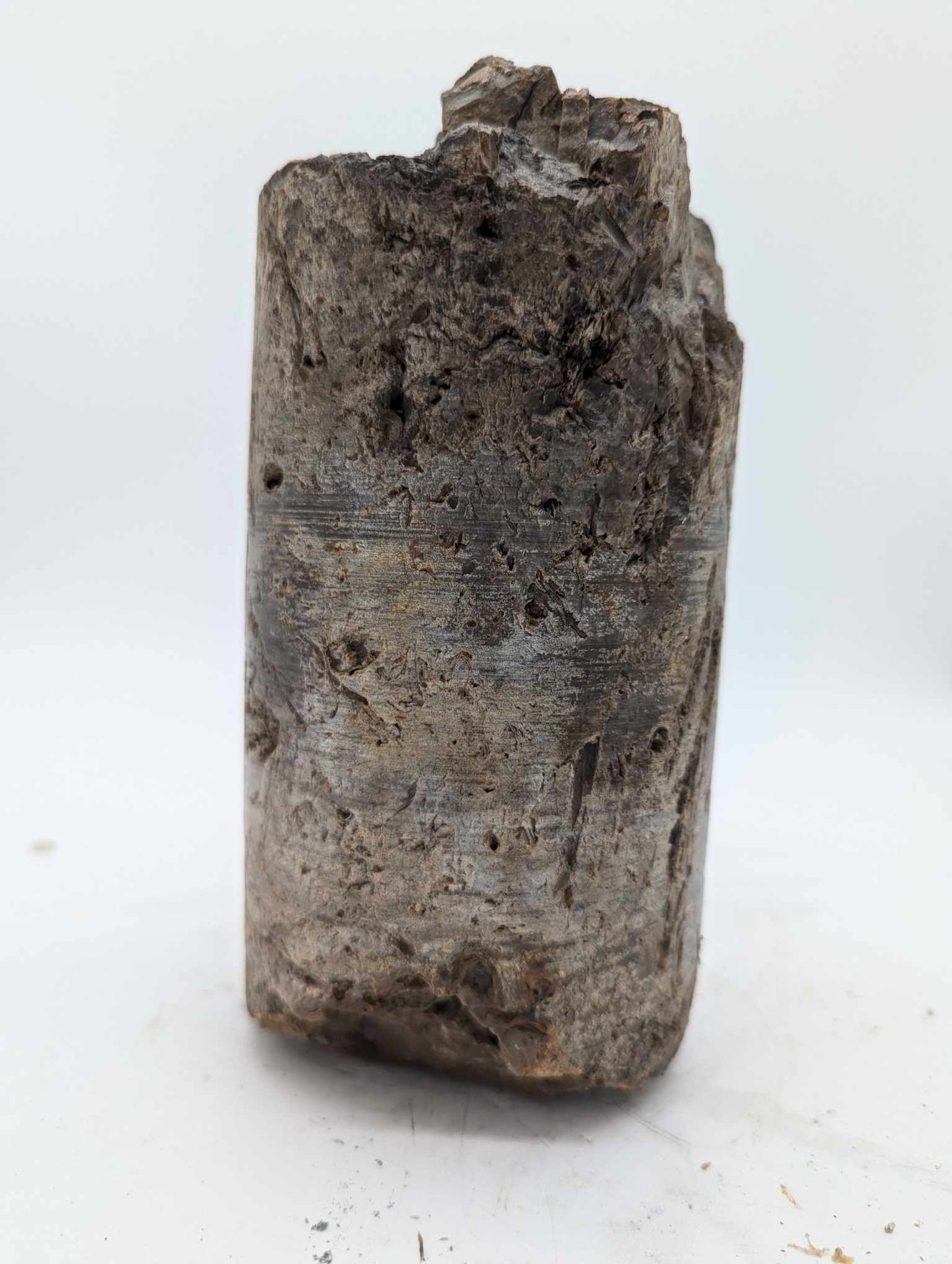 Sedimentary Drill Core (SDC17)