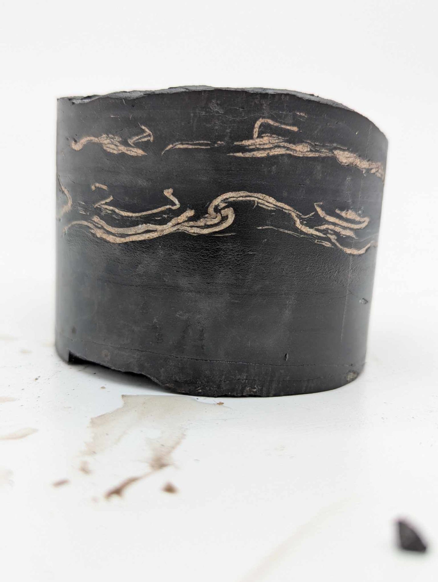 Sedimentary Drill Core (SDC1)