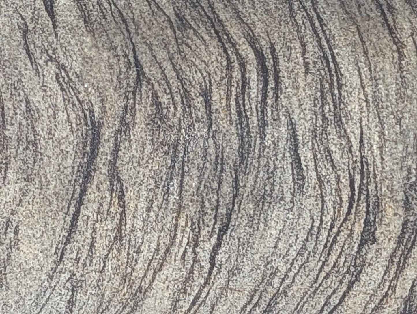 Sedimentary Drill Core (SDC6)