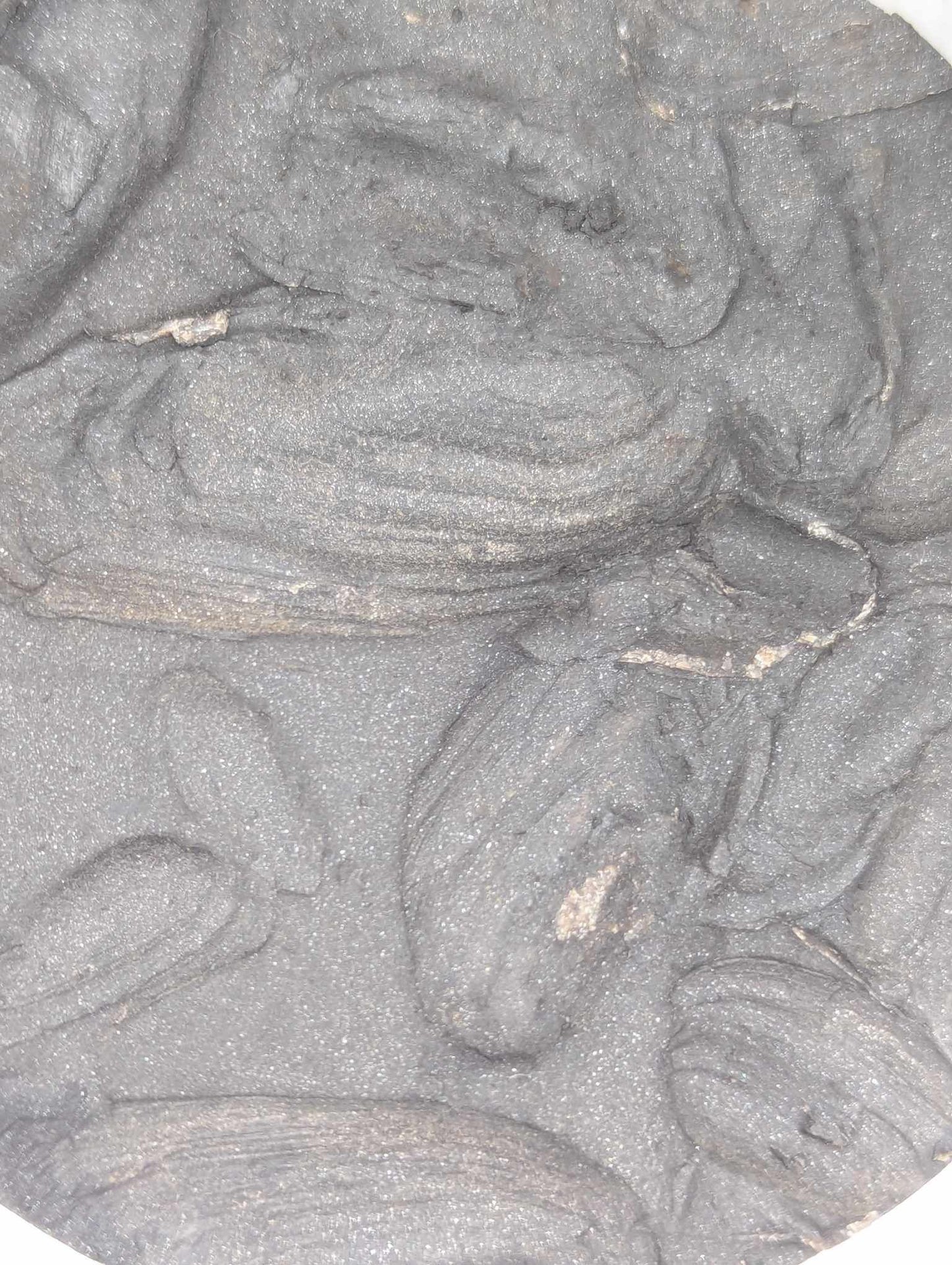 Sedimentary Drill Core (SDC12)