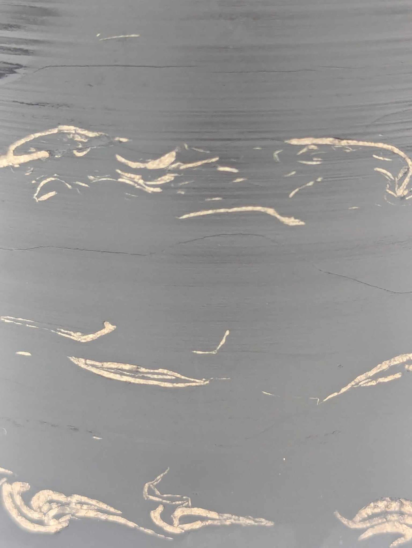 Sedimentary Drill Core (SDC7)