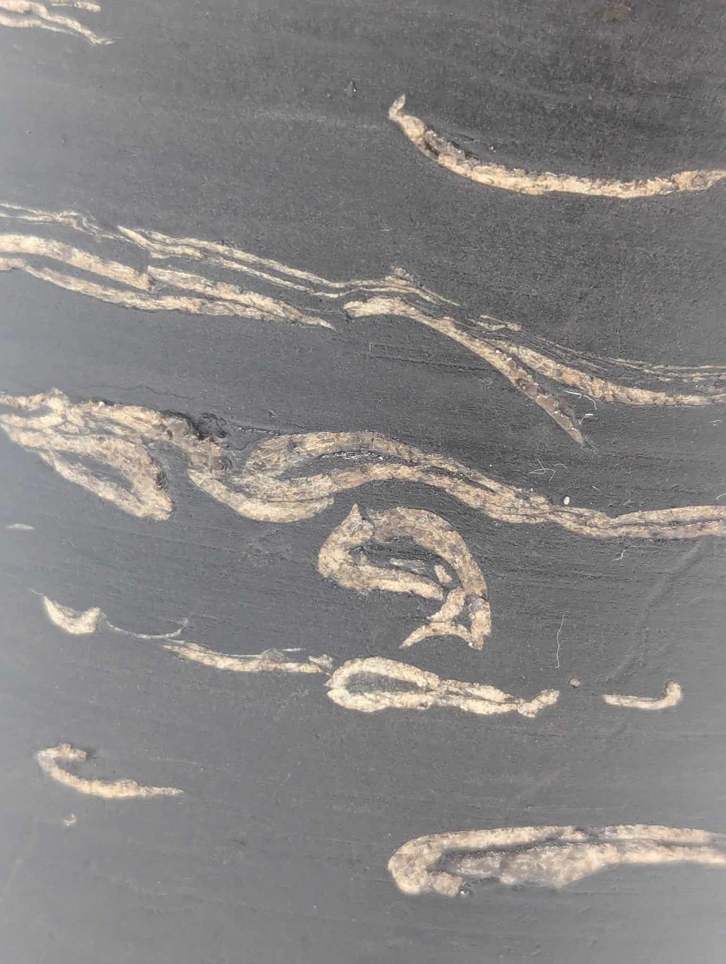 Sedimentary Drill Core (SDC8)