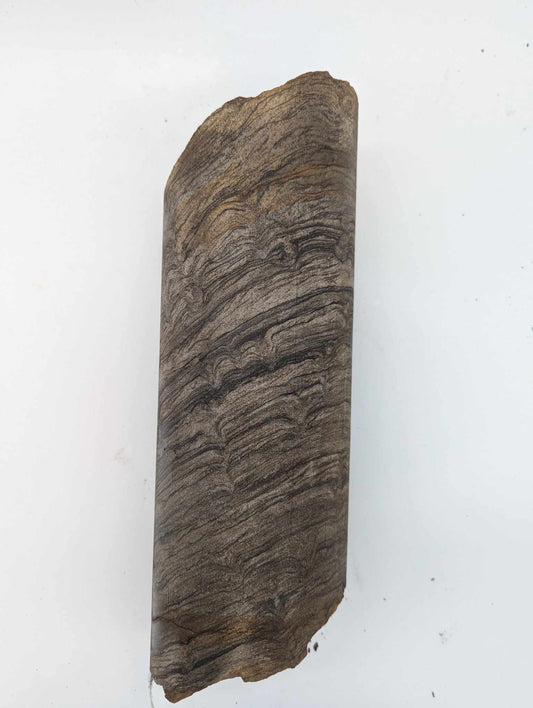 Sedimentary Drill Core (SDC5)