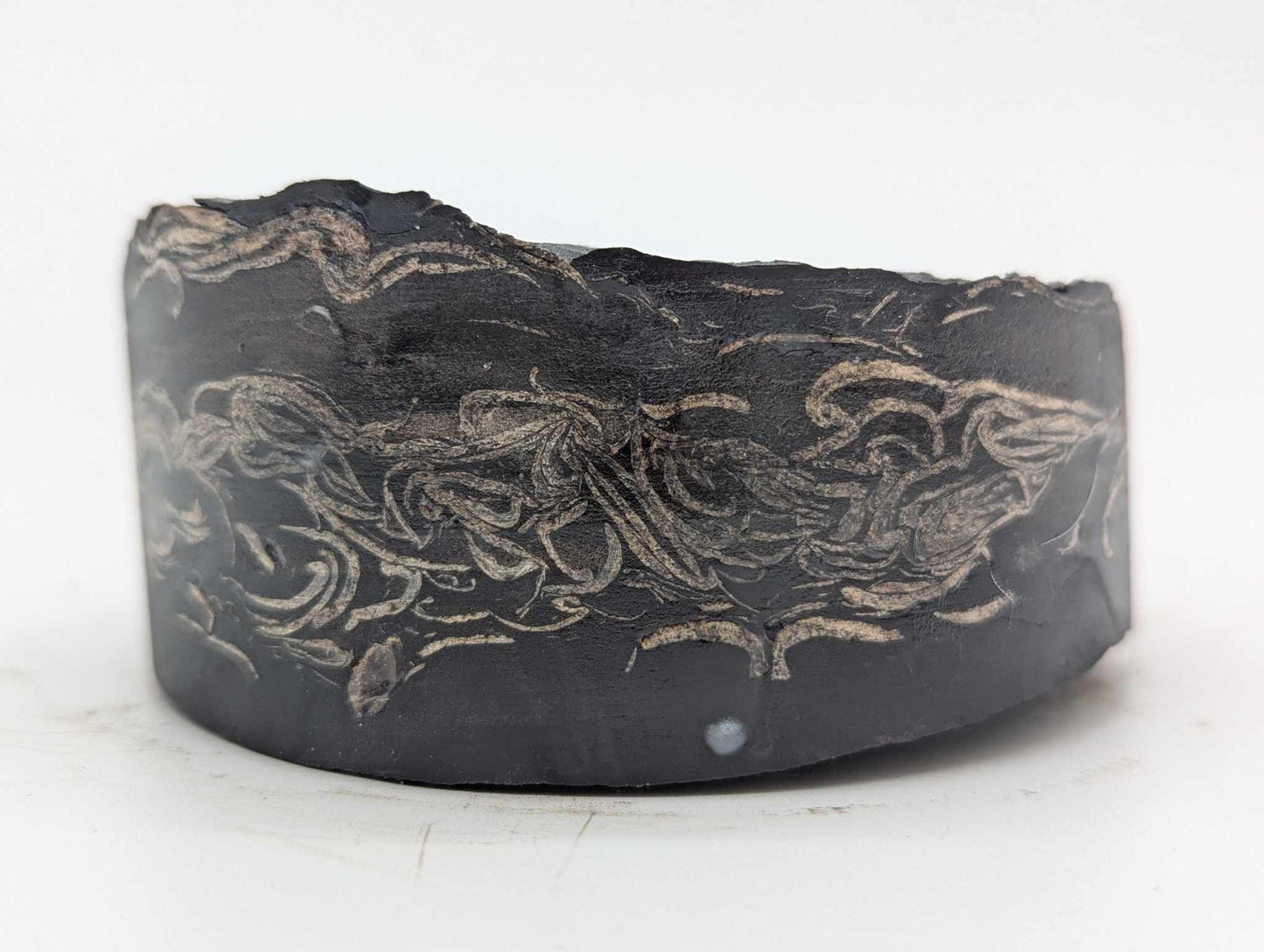 Sedimentary Drill Core (SDC11)