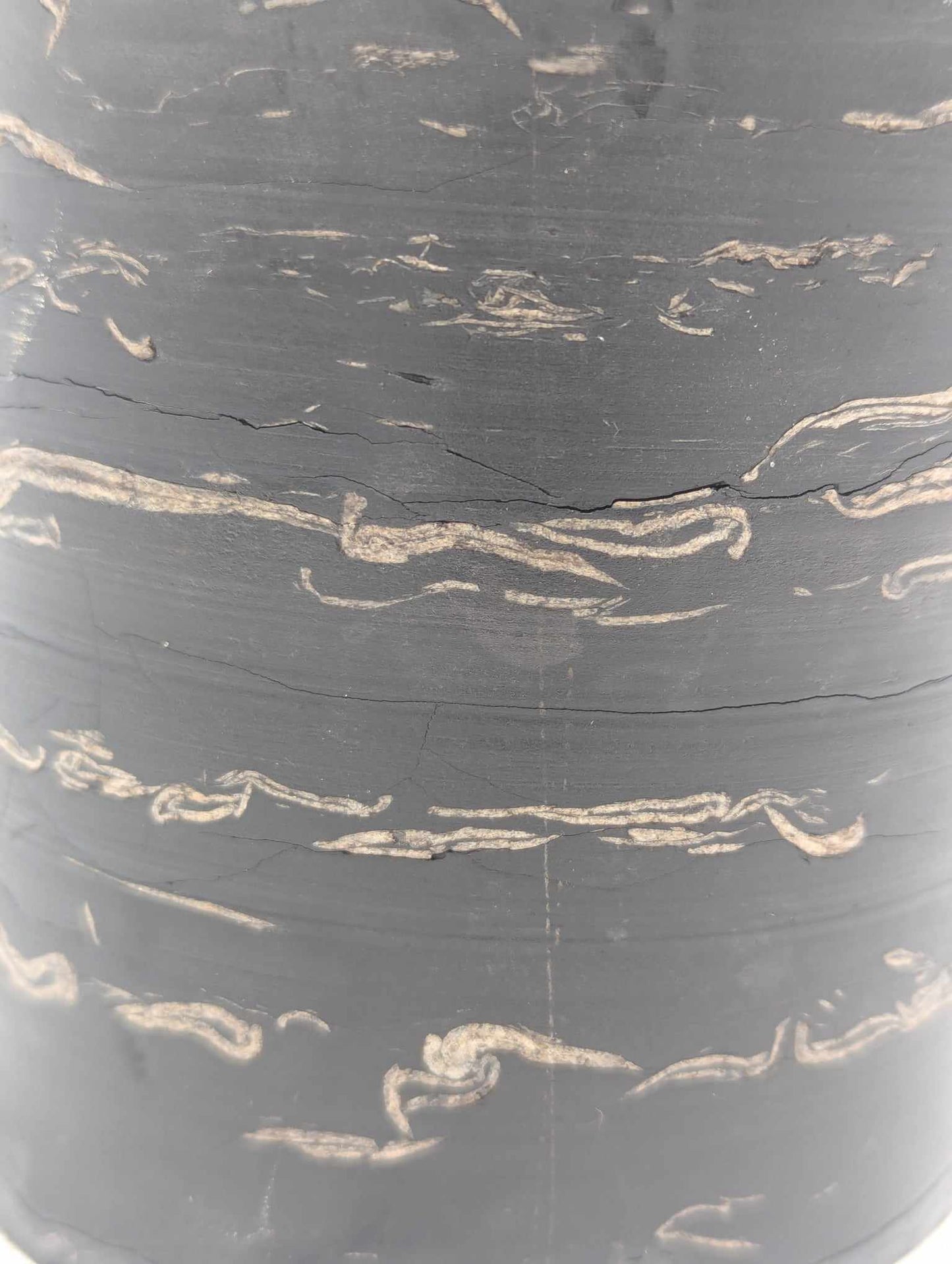 Sedimentary Drill Core (SDC10)