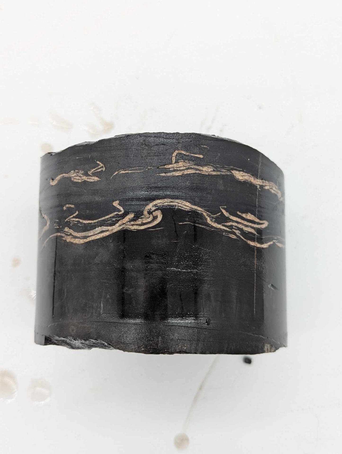 Sedimentary Drill Core (SDC1)