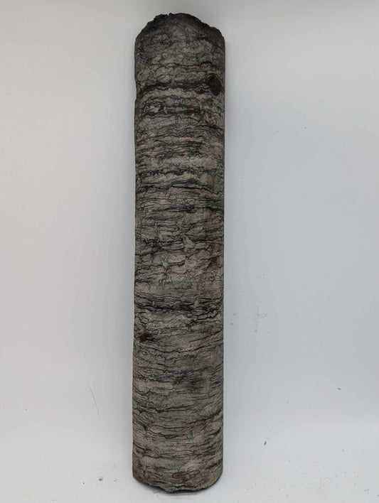 Sedimentary Drill Core (SDC14)