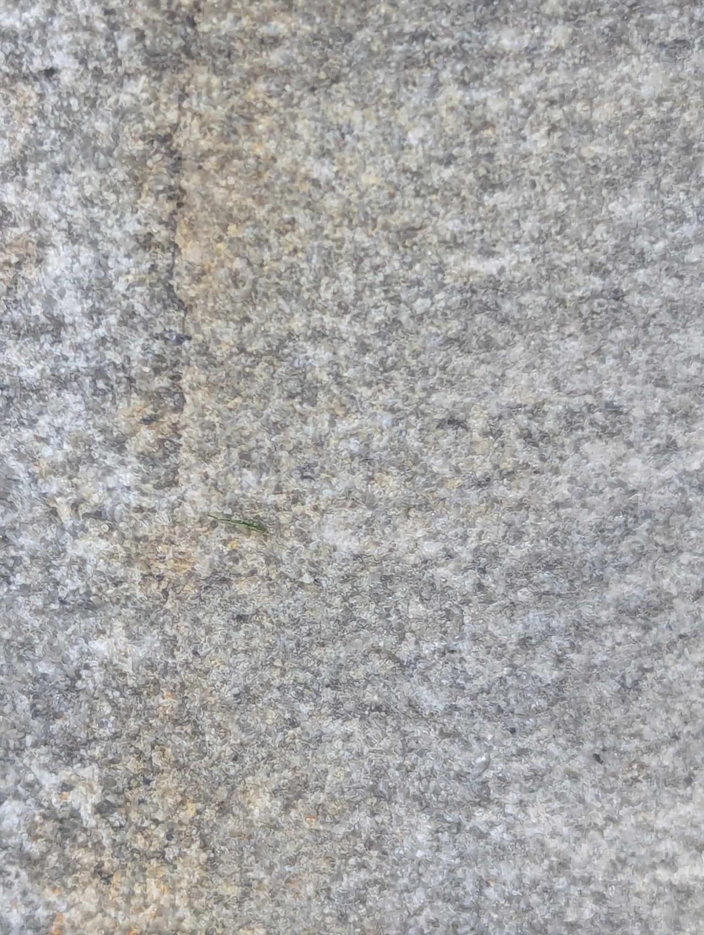 Sedimentary Drill Core (SDC5)