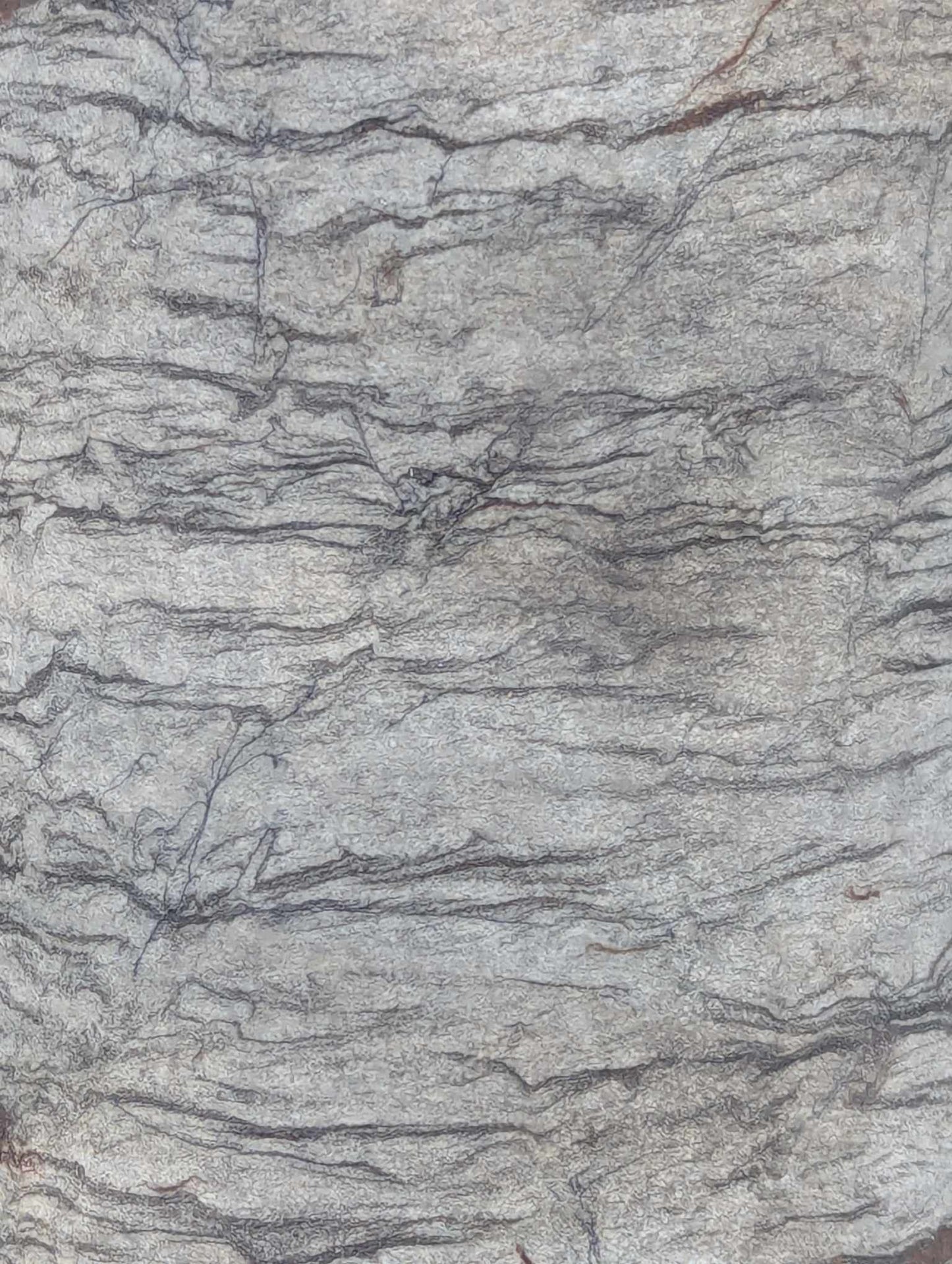 Sedimentary Drill Core (SDC14)