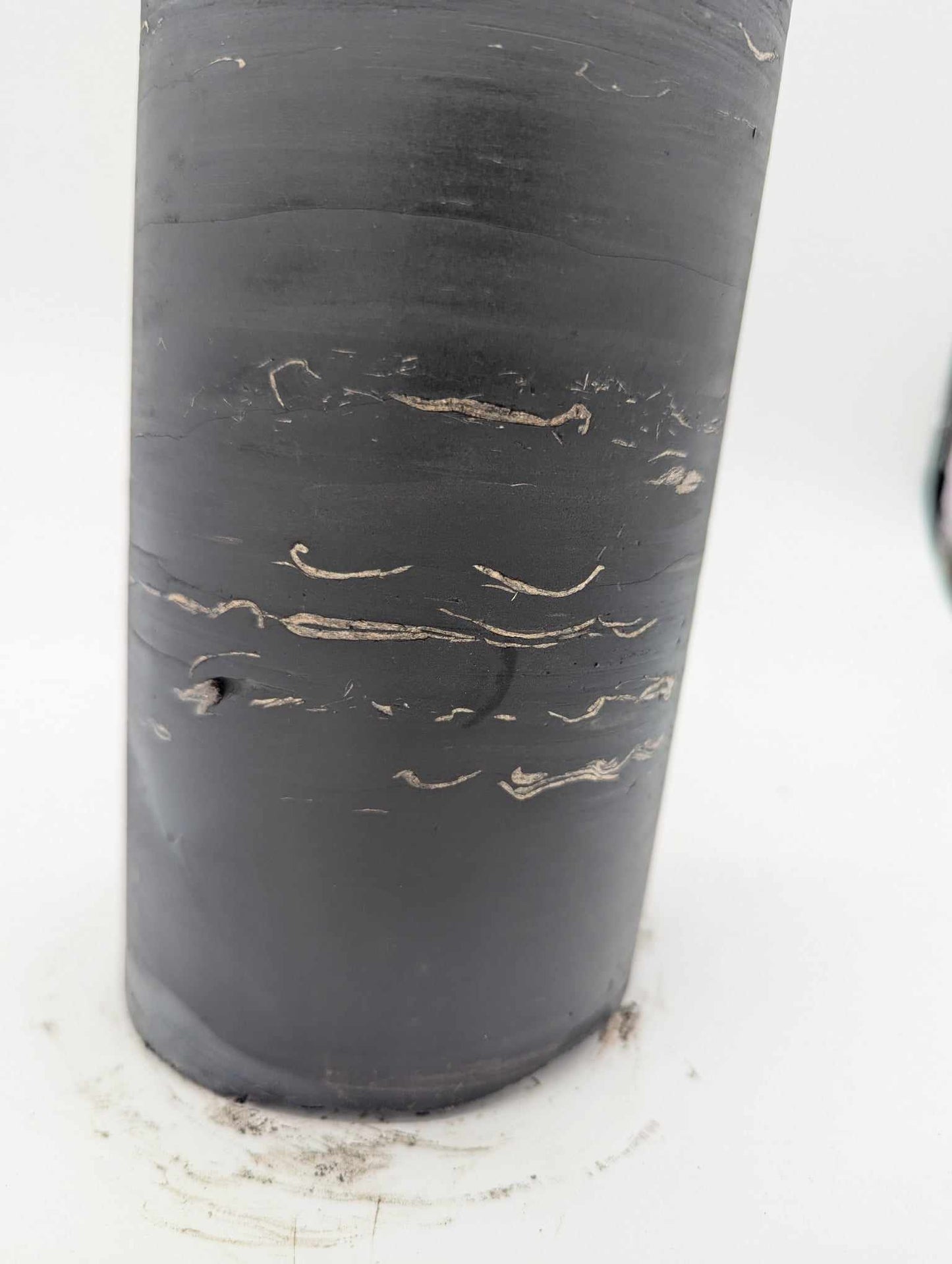 Sedimentary Drill Core (SDC8)