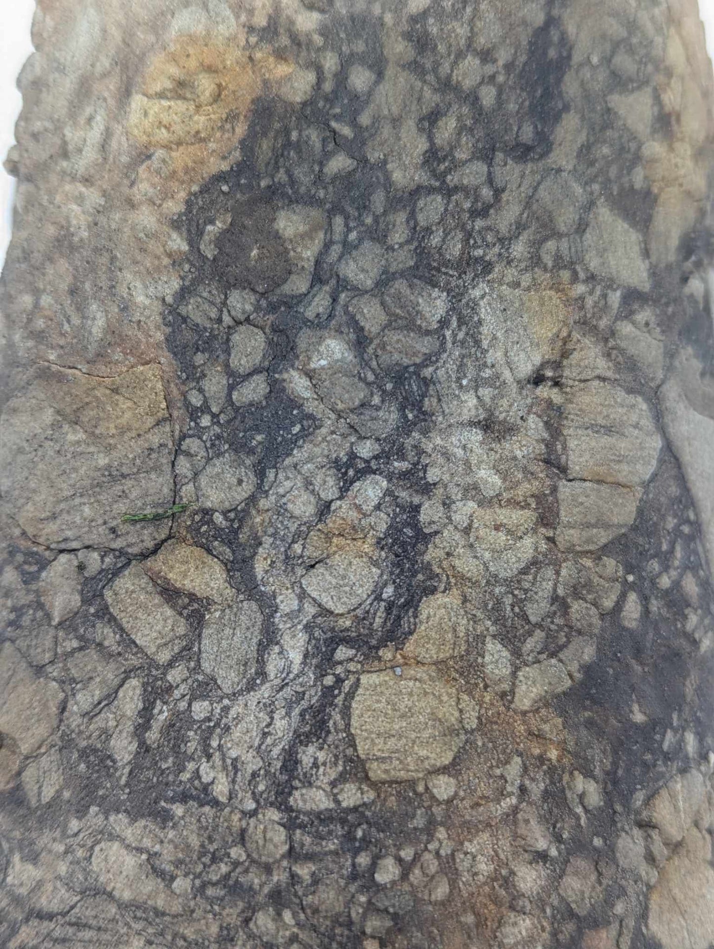 Sedimentary Drill Core (SDC4)