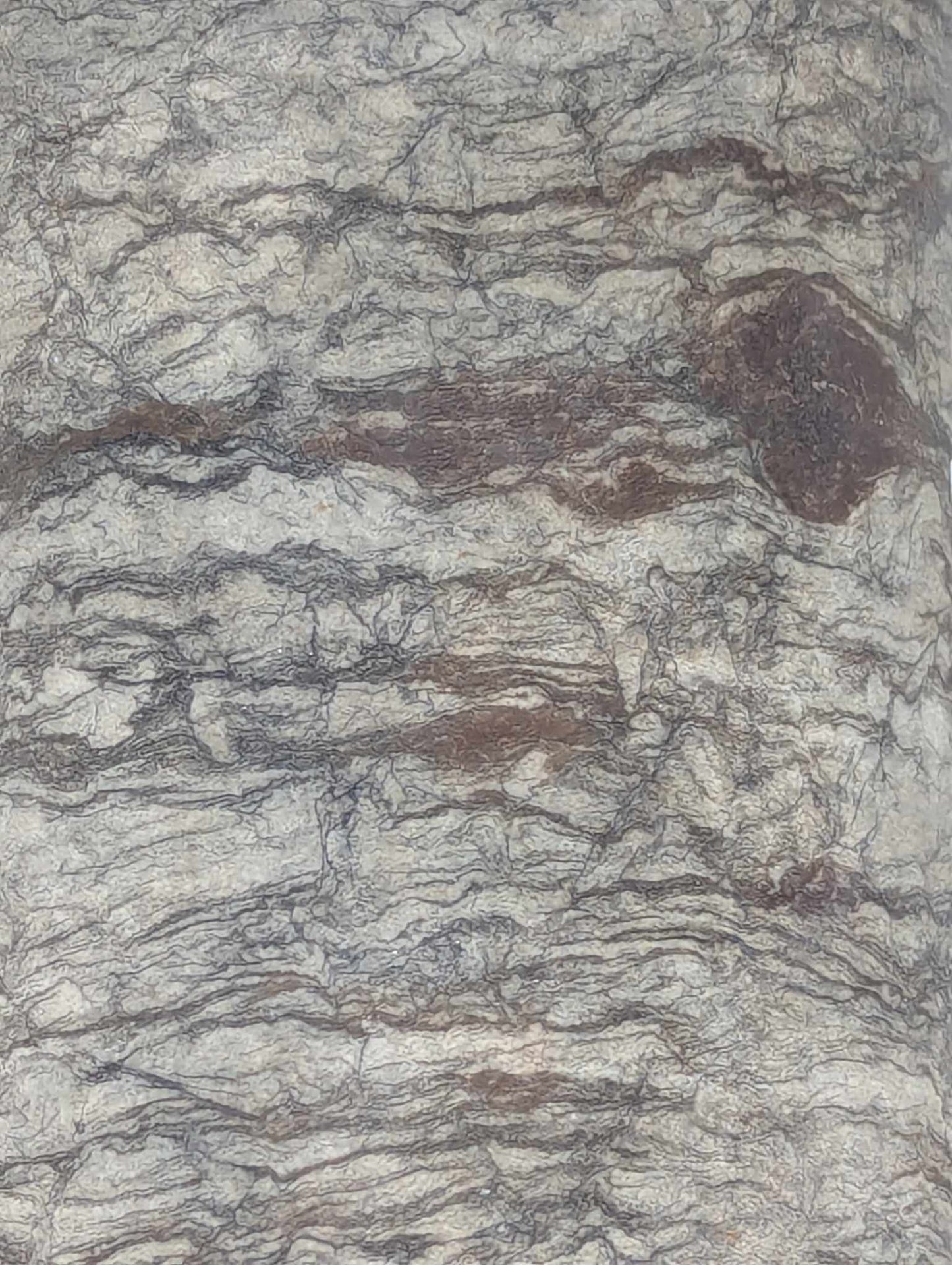 Sedimentary Drill Core (SDC14)