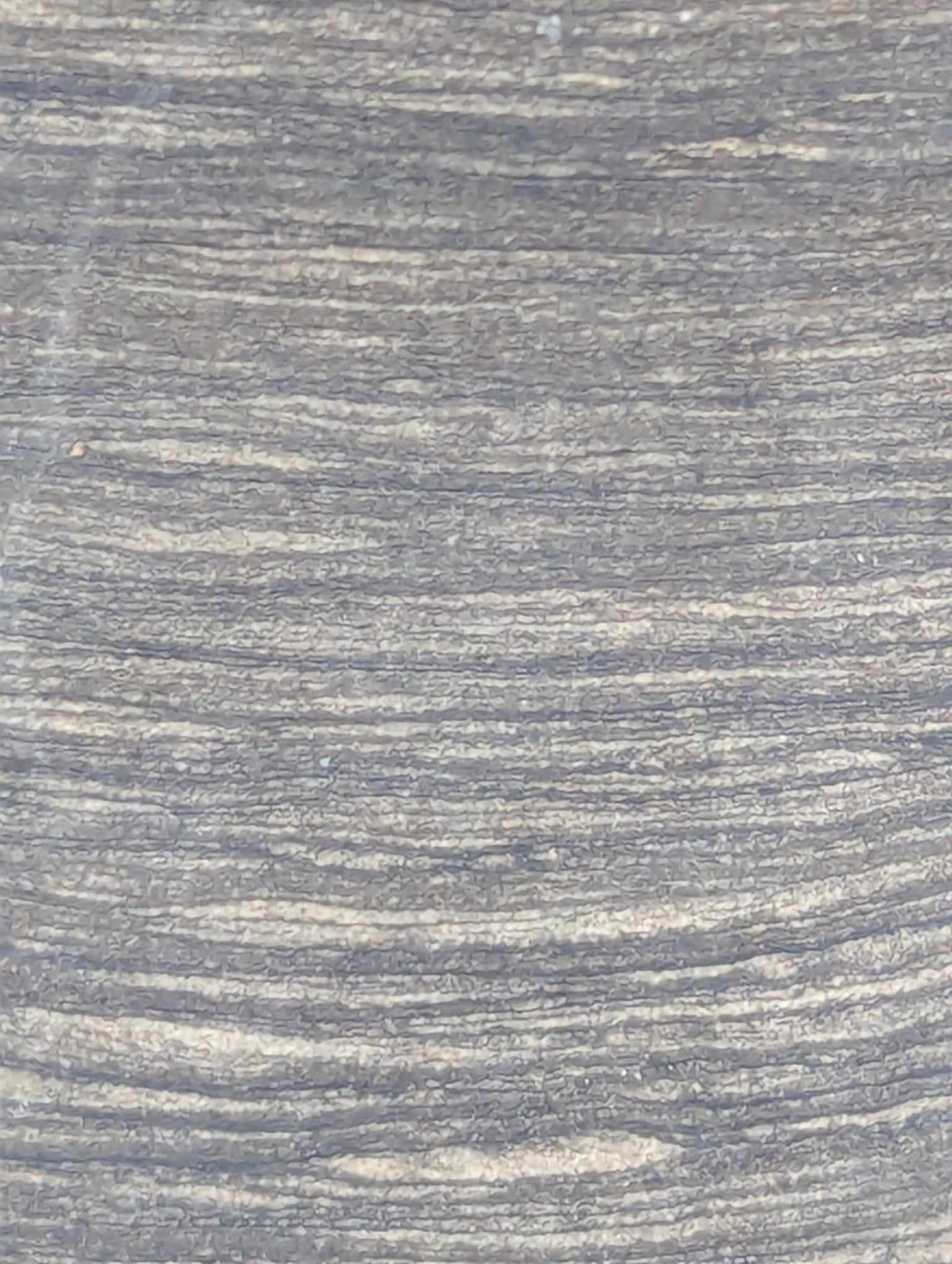 Sedimentary Drill Core (SDC13)