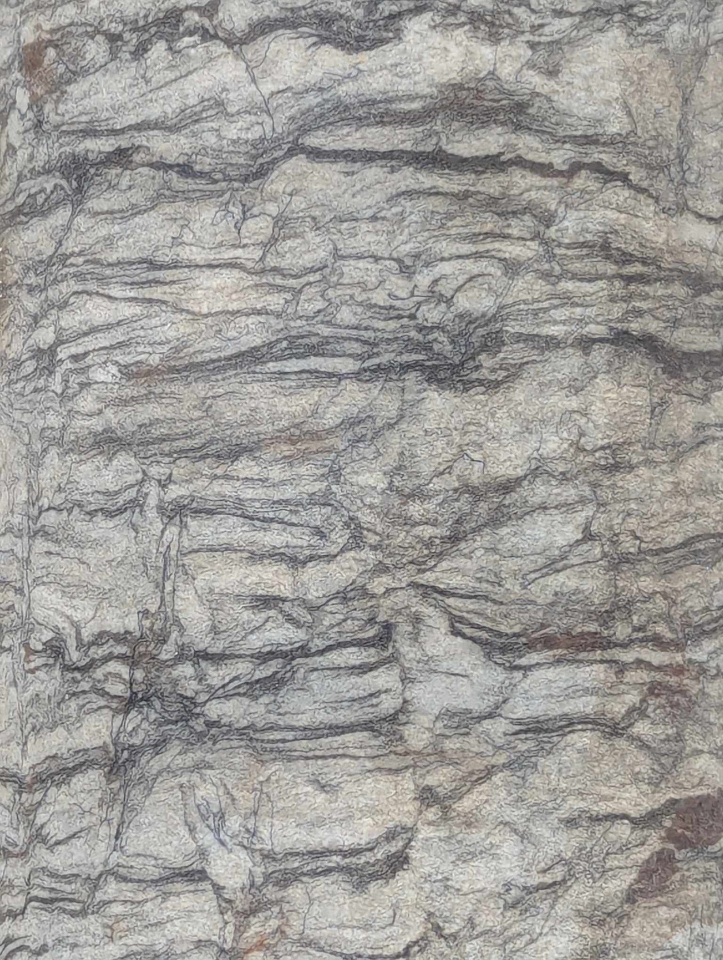 Sedimentary Drill Core (SDC14)