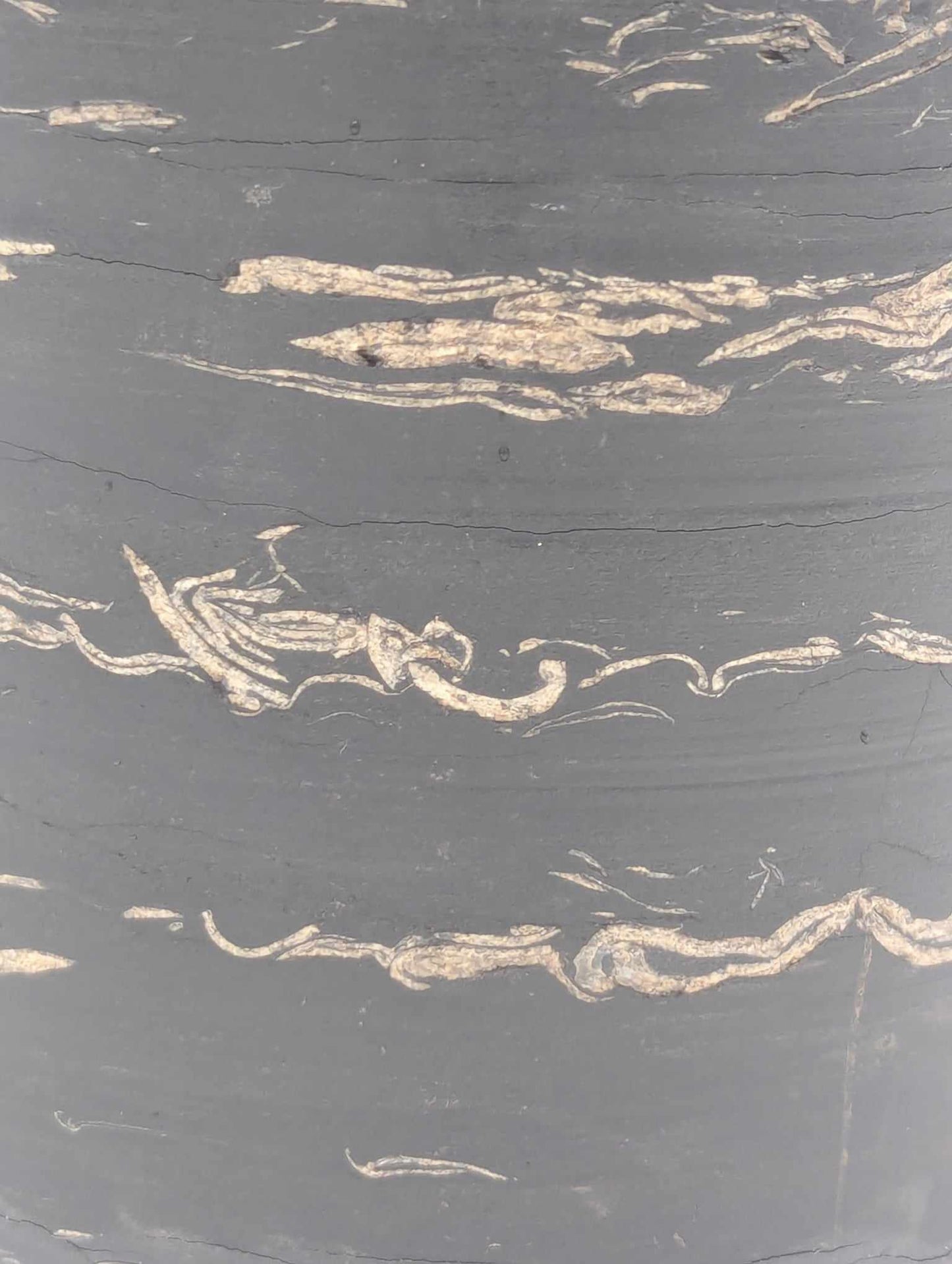 Sedimentary Drill Core (SDC10)