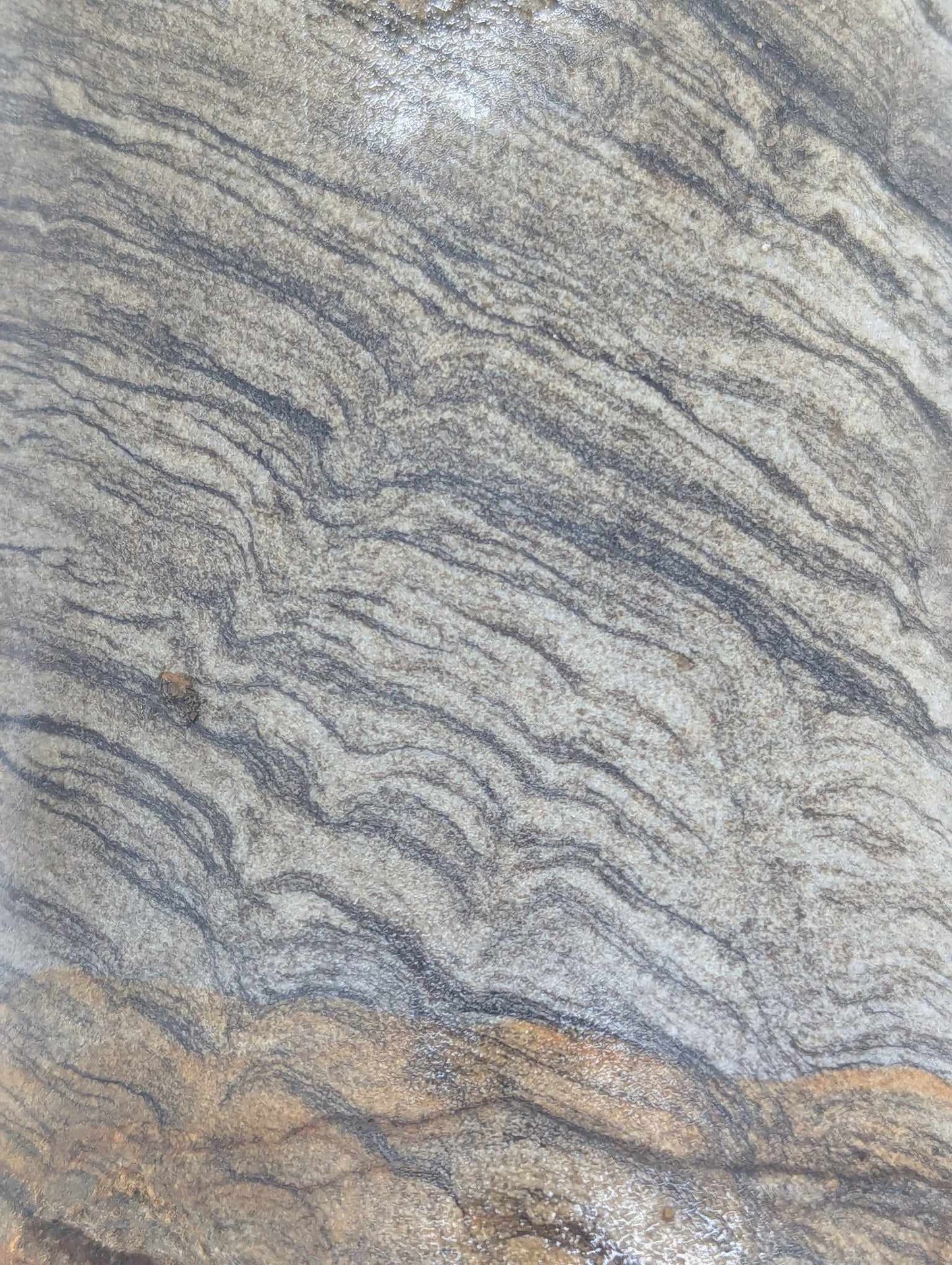 Sedimentary Drill Core (SDC5)