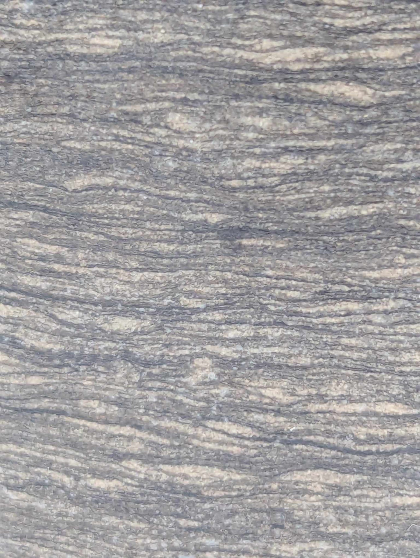 Sedimentary Drill Core (SDC13)